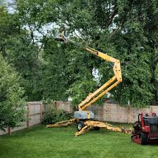 Best Emergency Tree Removal  in Glenolden, PA